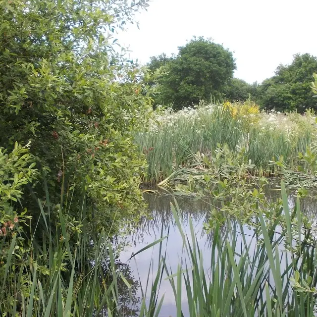A la rencontre de la biodviversité, avec le CPIE à Pénestin