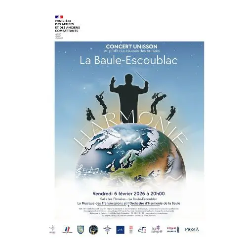 affiche-format-ic-ne-11-2599487