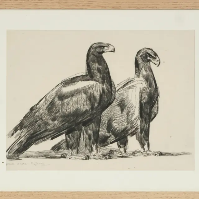 aigles-vente-encheres-labaule