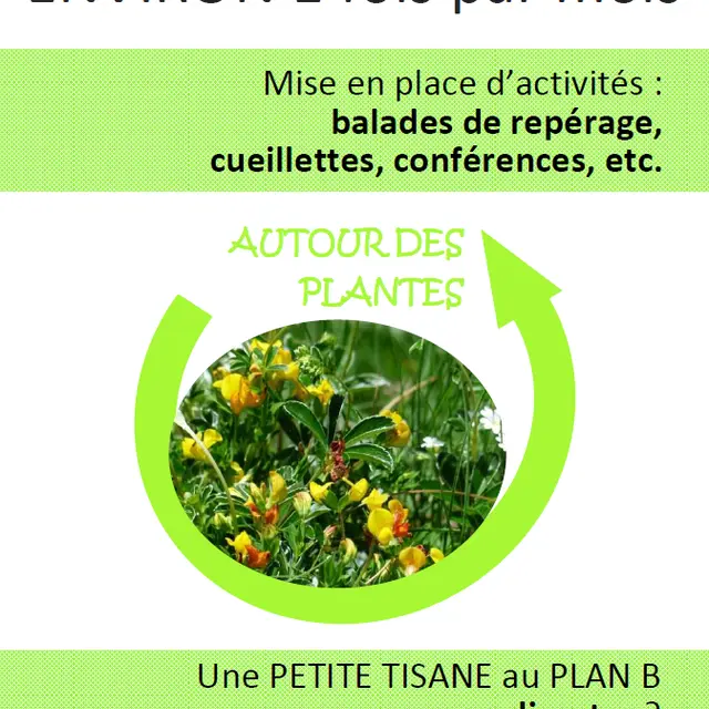 après-midi rendez vous autour des plantes - la turballe