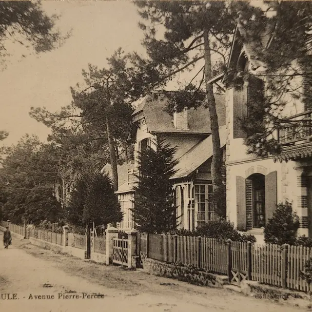 Balade commentée - Quartier des arbres