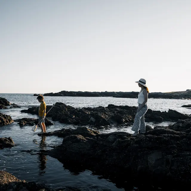 batz-sur-mer-2024-68-2592847