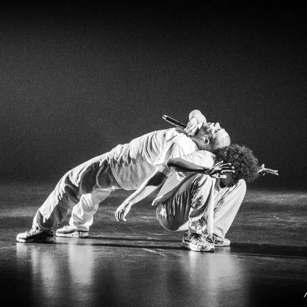 spectacle dans candide mesquer quimiac