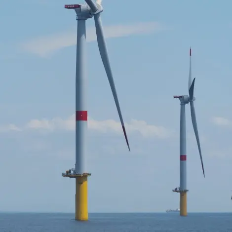 Champs eolien en mer