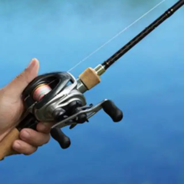 Concours de pêche No Kill & soirée dansante