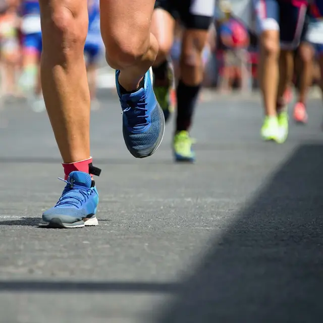 Course nature de la presqu'île du Croisic