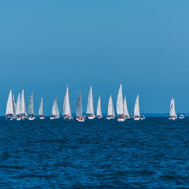 croisiere pen bron - arzal - la turballe