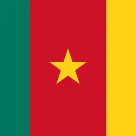 drapeau cameroun