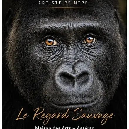 Exposition : Le Regard Sauvage - Domie Métayer - Maison des Arts - Assérac