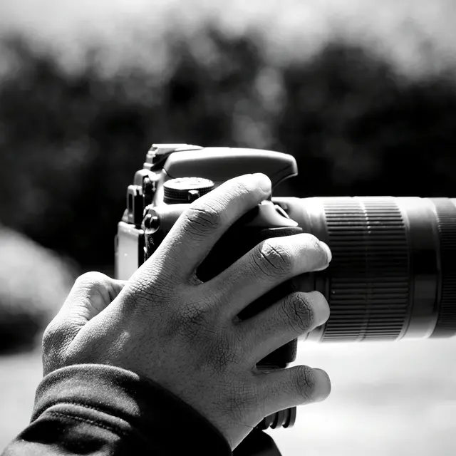 Exposition Photographie Images Expo Le Pouliguen