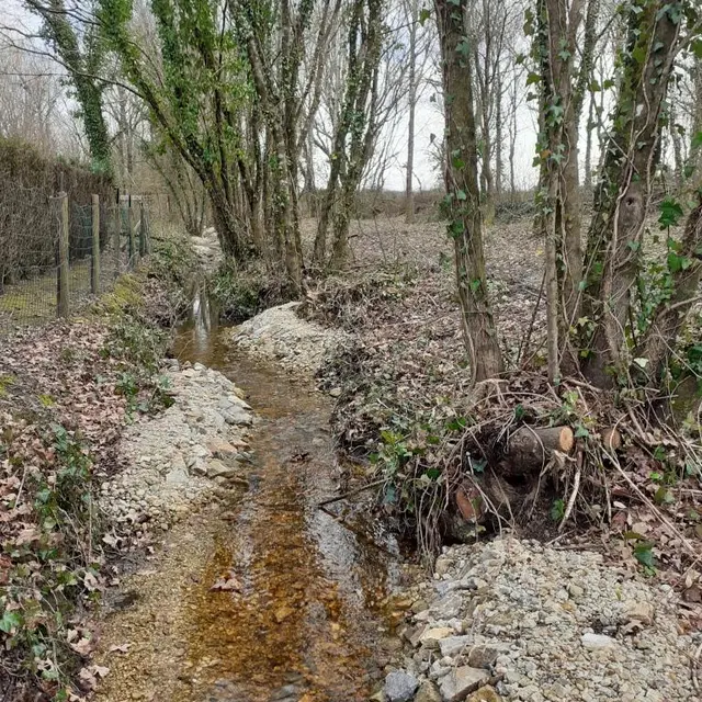Le printemps au bord de l'eau - Piriac-sur-mer