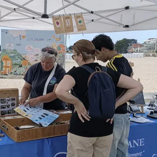 Stand découverte du plancton - CPIE Loire Océan