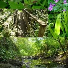 Sentier botanique de Kervin - Piriac sur Mer