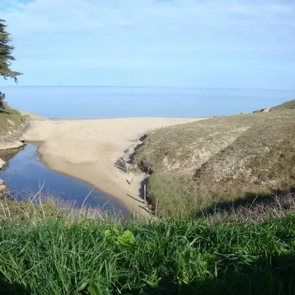 Sortie botanique à Pors er Ster - Piriac sur Mer
