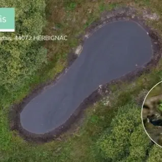 Sortie Nocturne - À la découverte des amphibiens