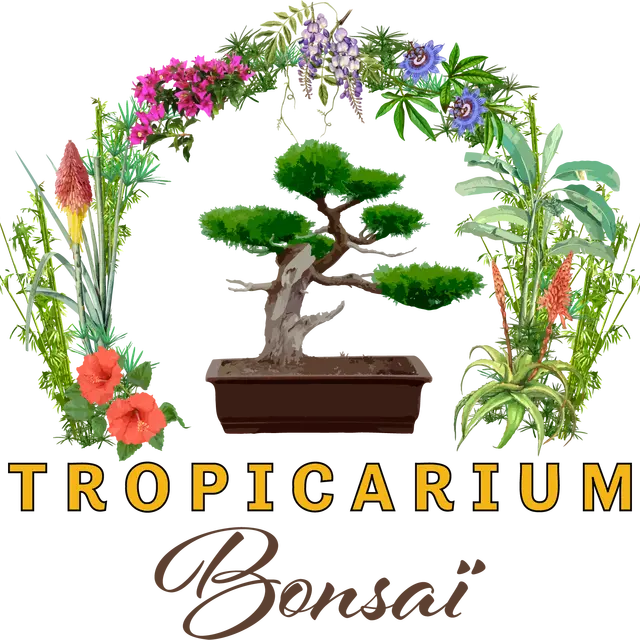 Tropicarium Bonsaï La Baule