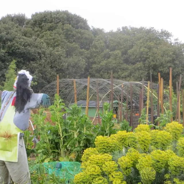 Vide-jardins - Jardin partagé et pédagogique de Cramphore - le Pouliguen