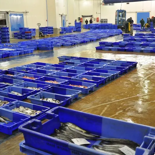 Visite de la criée de La Turballe