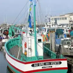 Visite du sardinier Au Gré des Vents La Turballe