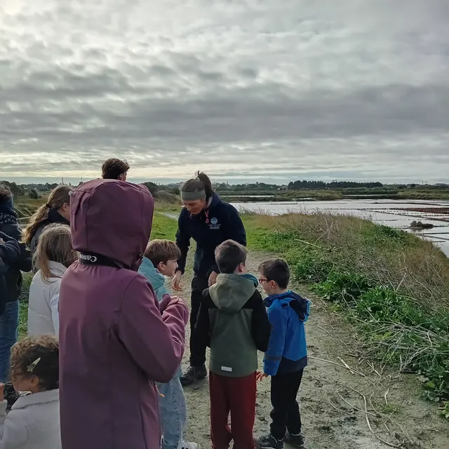Visite nature - Guérande