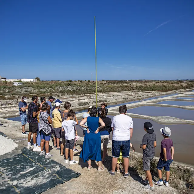 visites-mus-e-saline-2600680