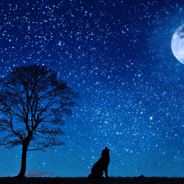Activité astronomie - photo d'illustration non contractuelle ©DR