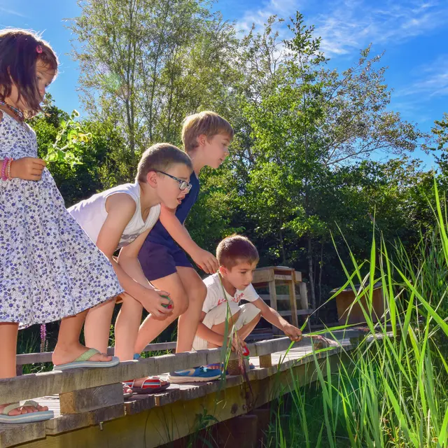 Animations enfants©Eden62 (1)