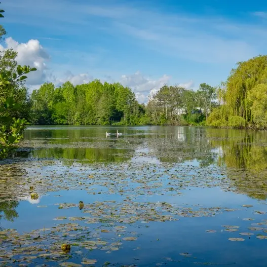 Ballastières Étang photothèque SPL