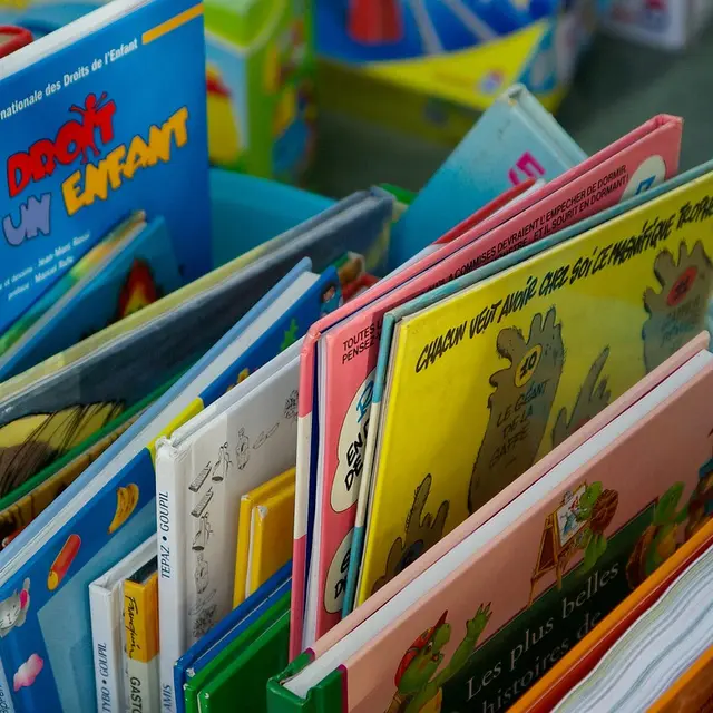 Brocante_livres enfants BD_ illustration non contractuelle_DR