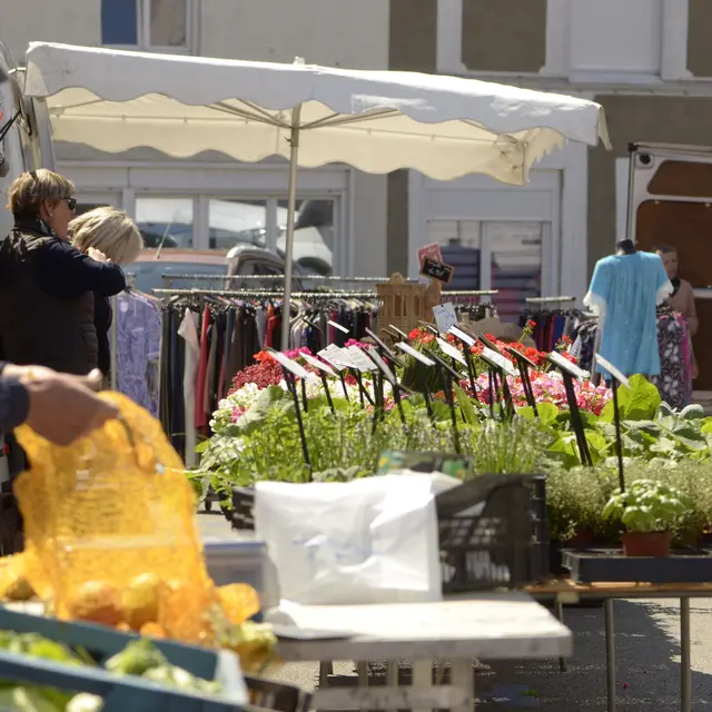 CCPL_Marché Lumbres 1