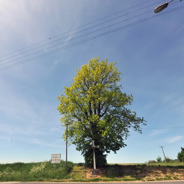 Calvaire 2010 QUIESTEDE © Photo Carl - Office de Tourisme de la Région de Saint-Omer