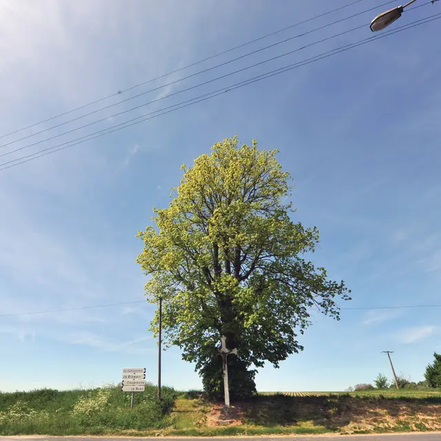 Calvaire 2010 QUIESTEDE © Photo Carl - Tourisme en Pays de Saint-Omer