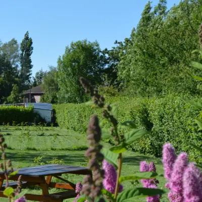 Camping de la Petite Forêt 2017 AIRE-SUR-LA-LYS © SPL Tourisme en Pays de Saint-Omer