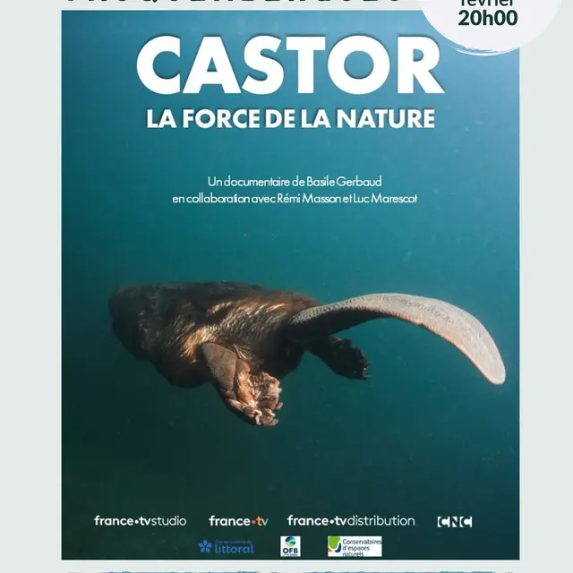 Ciné-échange autour du documentaire Castor, la force de la nature
