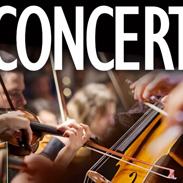 Affiche du concert