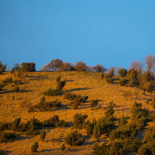 Coteaux de l'Aa - Wavrans-sur-l'Aa 2024