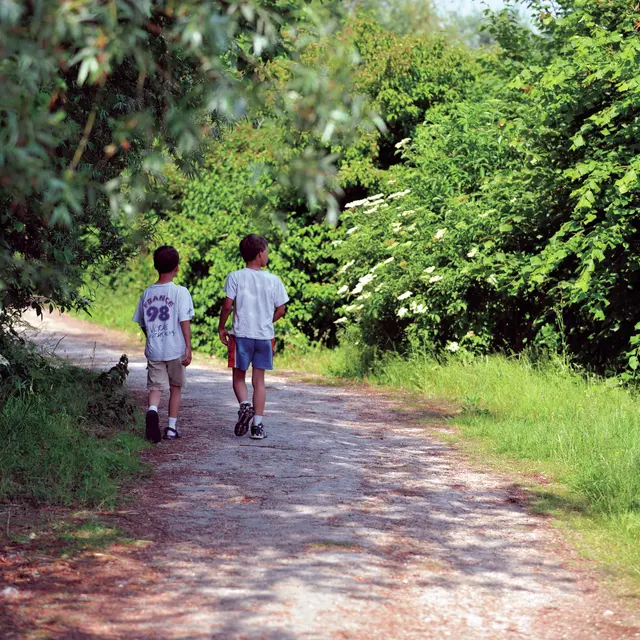 Etangs Chemin Enfants 2011 MAMETZ