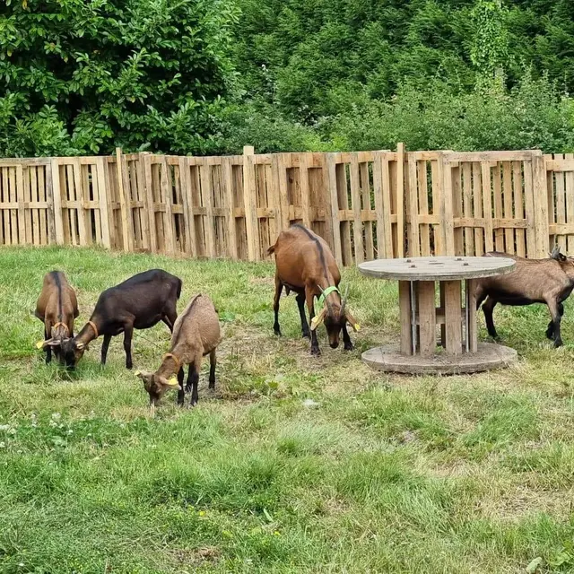 Ferme La Chev'riotte à RECLINGHEM