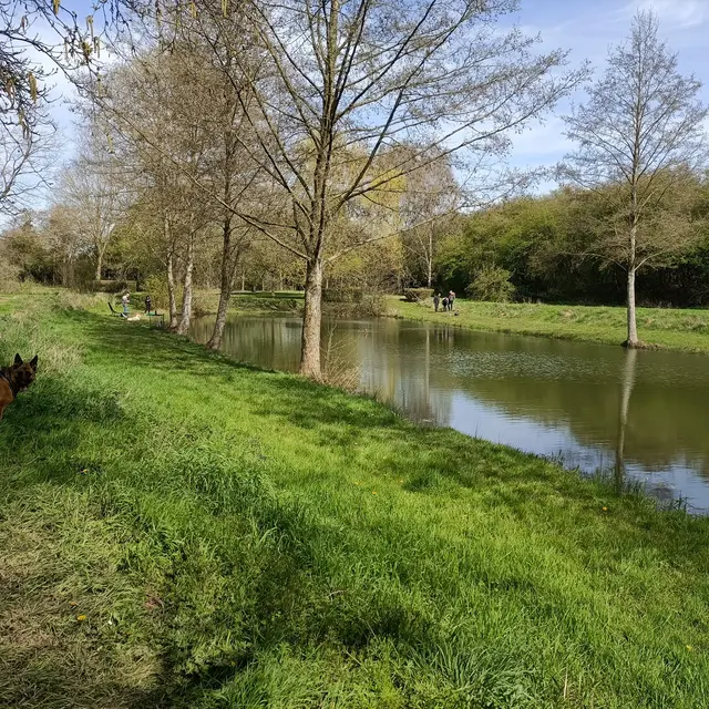 Petite promenade sur les bords des étangs Arc-en-Ciel