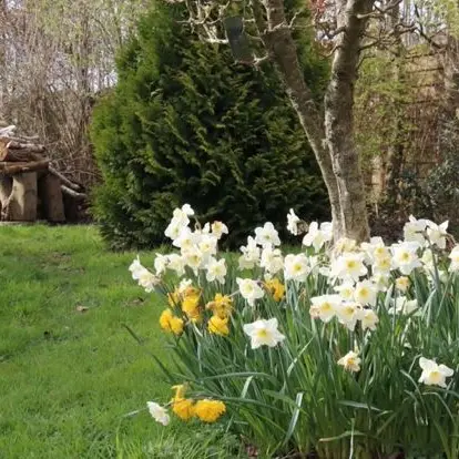 Jardin de Marike_printemps1
