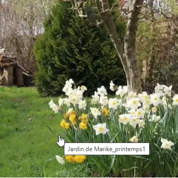 Jardin de Marike