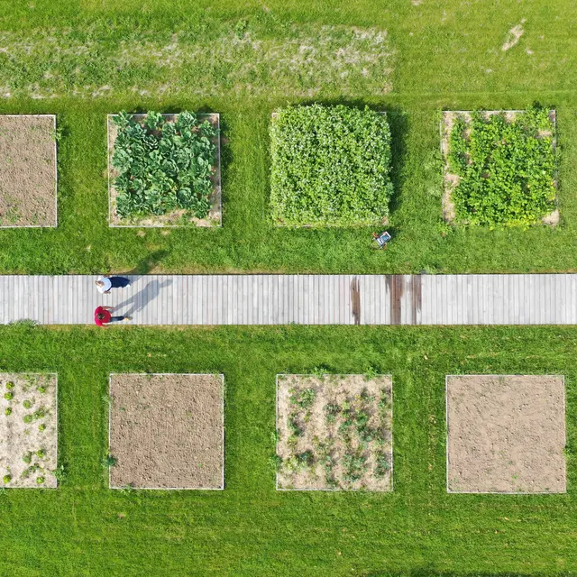 Jardin du Potager Conservatoire Couple