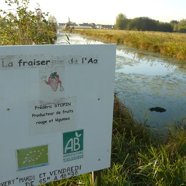 La Fraiseraie de l'Aa à CLAIRMARAIS