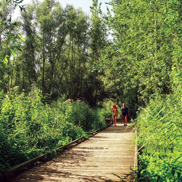 Les Ballastières Randonnée 2019 AIRE-SUR-LA-LYS