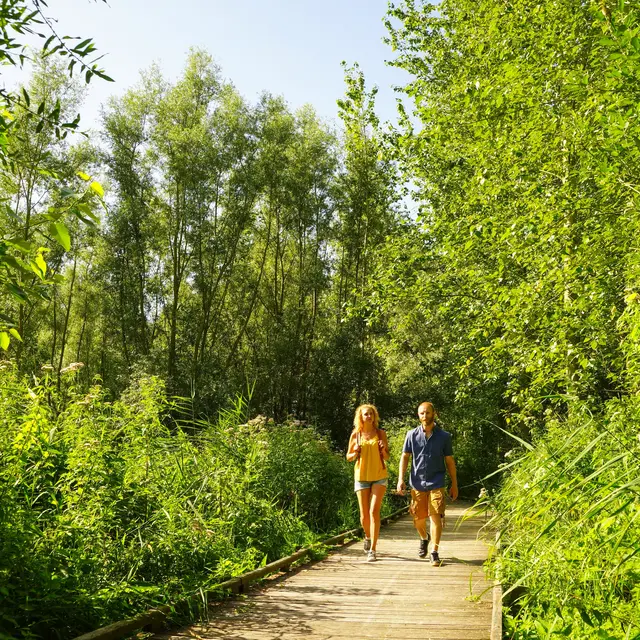 Les Ballastières Randonnée 2019 AIRE-SUR-LA-LYS © P. Hudelle SPL Tourisme en Pays de Saint-Omer (33)