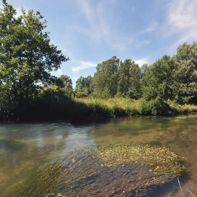 Paysage 2010 FAUQUEMBERGUES © Photo Carl - Tourisme en Pays de Saint-Omer (2)