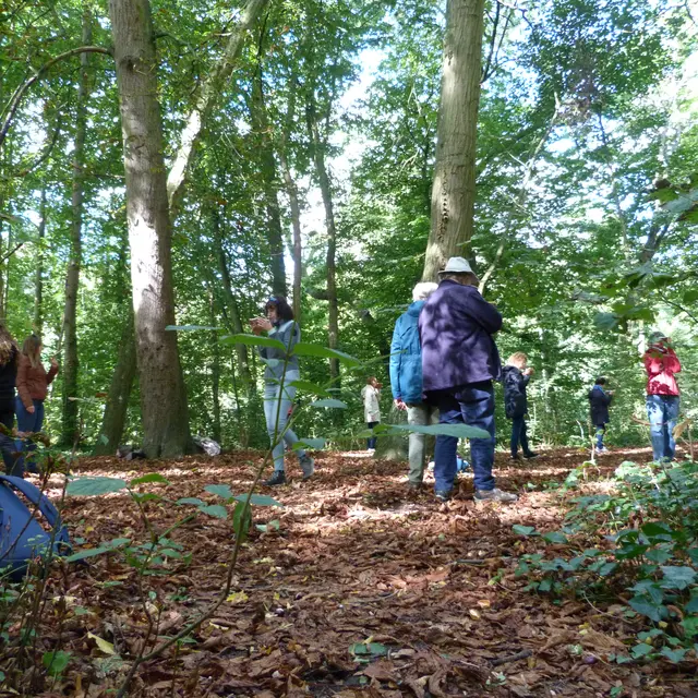 Paysage sensible adulte©L'Agence