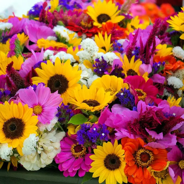 Photo de fleurs, illustration