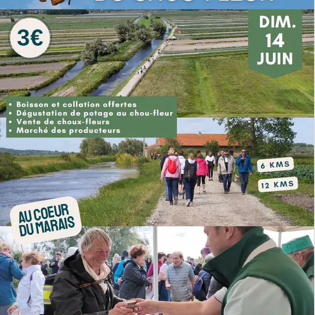 Randonnée du chou-fleur 2026 le dimanche 14 juin à Saint-Omer