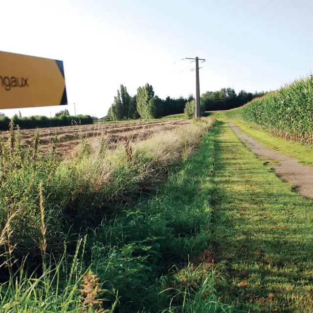 Randonnée Les Héringaux 2021 ROQUETOIRE © Pays ch'ti Pays d'ici (9)